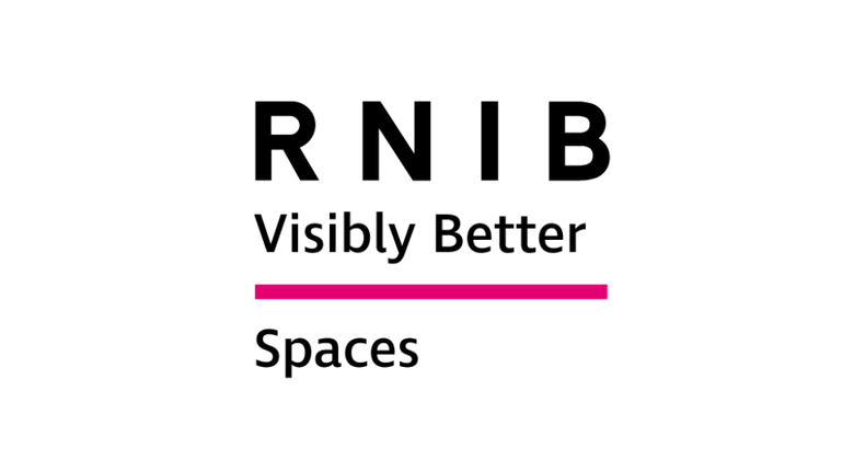 Image of RNIB Visibly Better Spaces logo