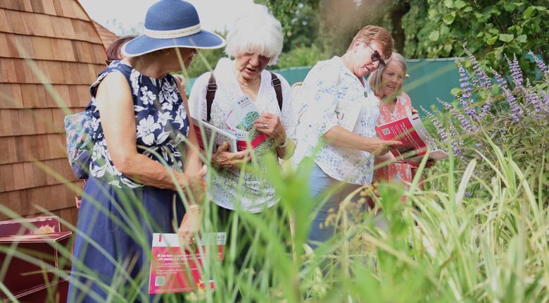 Four ladies are stood in a line reading their RNIB garden leaflets while surrounded by plants and long green grass.